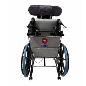 Silla de Ruedas Neurológica para Adulto - Imagen 3